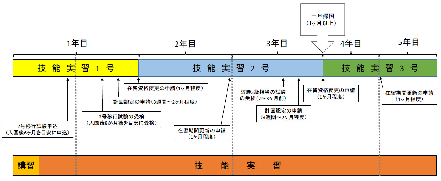 技能 実習 3 号 ロ