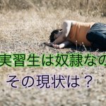 技能実習生は奴隷なのか？｜技能実習制度の現状…