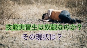 技能実習生は奴隷なのか？｜技能実習制度の現状…