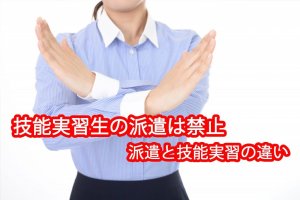 技能実習生の派遣は禁止｜派遣と技能実習の違い