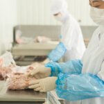 HACCP義務化は特定技能「飲食料品製造業」…