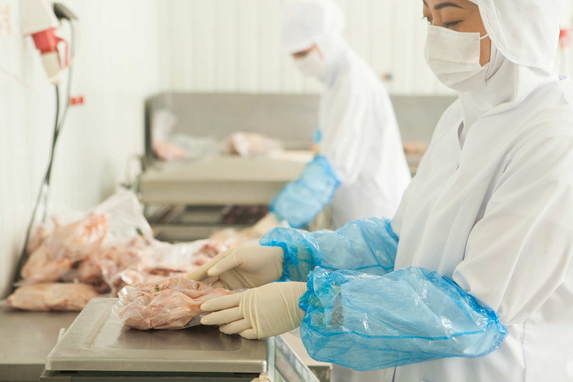 HACCP義務化は特定技能「飲食料品製造業」の受入れに影響する？試験内容と現場教育のポイントを解説