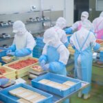 特定技能「飲食料品製造業」とは？対象工場・対…